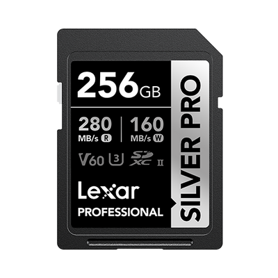 Lexar Professional Silver Pro 256GB SD card on a white background