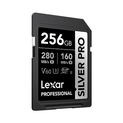 Lexar Silver Pro 256GB SD card on a white background