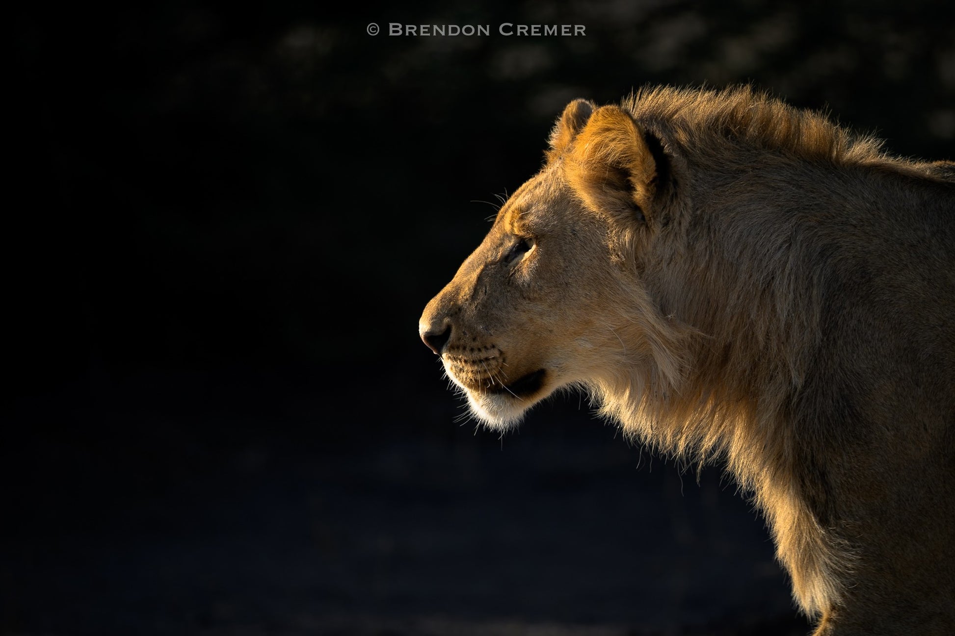 Mashatu Photo Safari by Tusk Photo