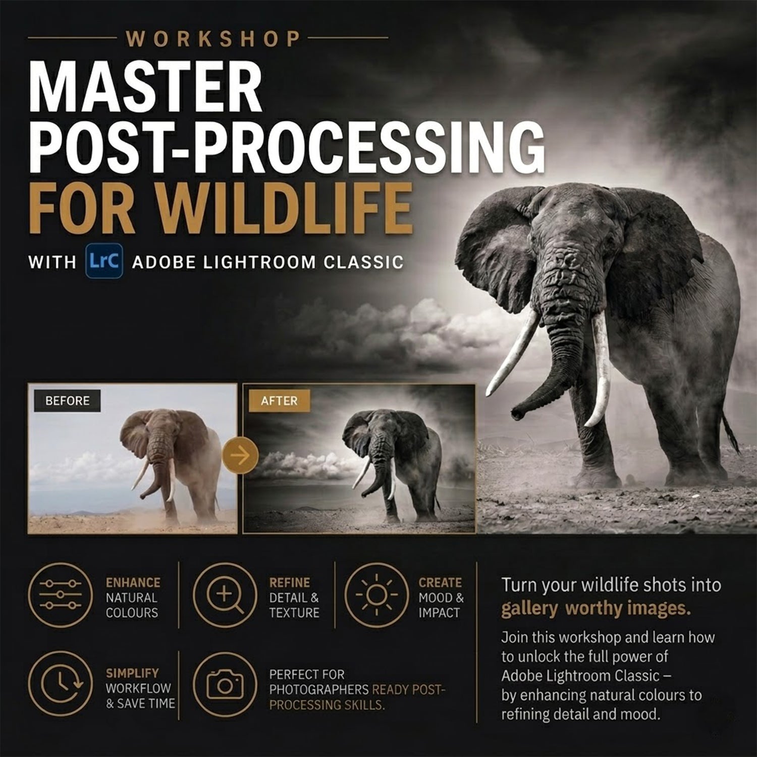 Master Post-Processing for Wildlife with Brendon Cremer