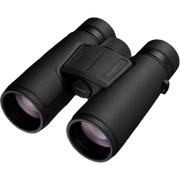 Nikon Monarch 10x24 binoculars in matte black, shown at a three-quarter angle on a solid white background.