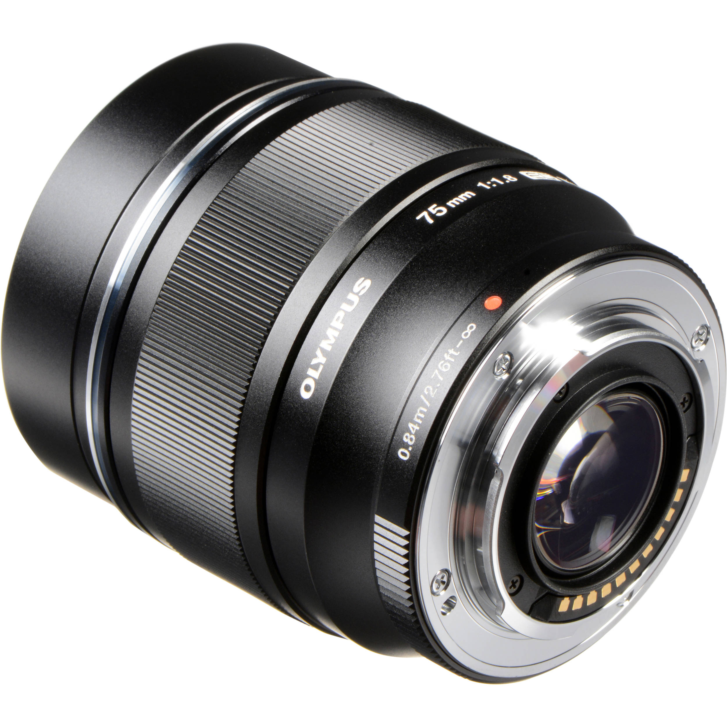 OM SYSTEM M.Zuiko 75mm f/1.8 lens showing sharp optics and creamy background blur for creative photography.