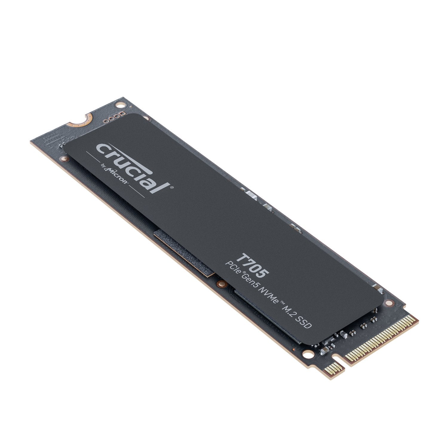 The ASUS REMBRANDT Creator PC features a super-fast 2TB NVMe SSD for quick loading and smooth performance in all your projects.