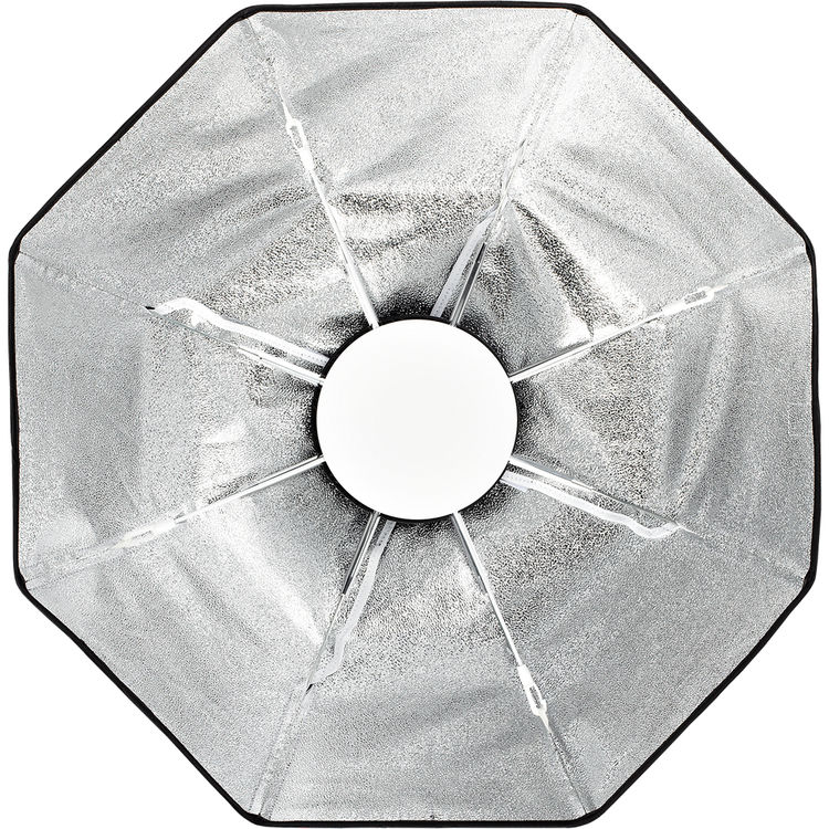 Profoto 24-inch collapsible OCF beauty dish with diffusers attached
