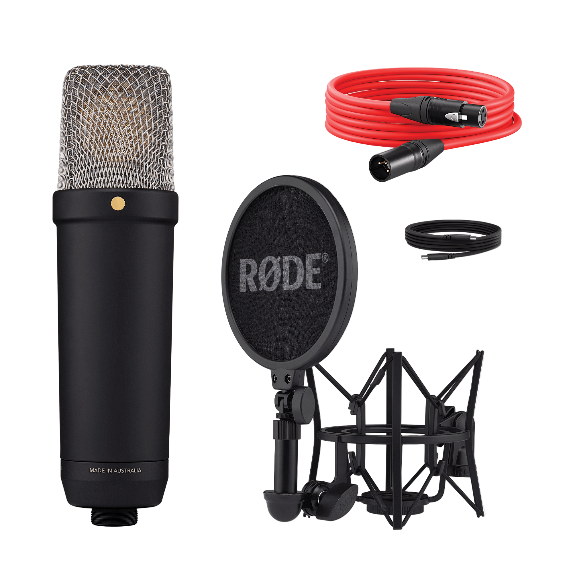 Unmatched audio with the upgraded NT1 condenser microphone for countless creators. Offers a hybrid XLR and USB output connection for a mixer or computer.