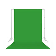 Seamless paper backdrop in tech green.
