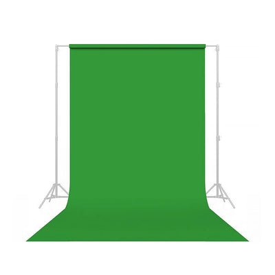 Seamless paper backdrop in tech green.