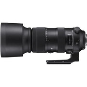 Sigma 60-600mm f/4.5-6.3 DG OS HSM Sports Lens for Nikon F. A versatile 10x zoom with OS stabilisation, pro build, and sharp optics for wildlife, sports, and outdoor photography.