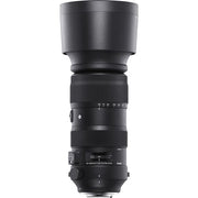 Sigma 60-600mm f/4.5-6.3 DG OS HSM Sports Lens for Nikon F. A versatile 10x zoom with OS stabilisation, pro build, and sharp optics for wildlife, sports, and outdoor photography.