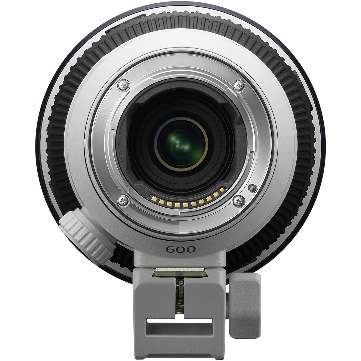 Sony FE 600mm f/6.3 prime telephoto lens for outdoor wildlife and birding
