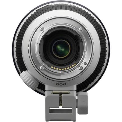 Sony FE 600mm f/6.3 prime telephoto lens for outdoor wildlife and birding
