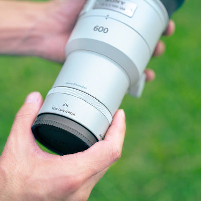 Sony FE 600mm f/6.3 prime telephoto lens for outdoor wildlife and birding
