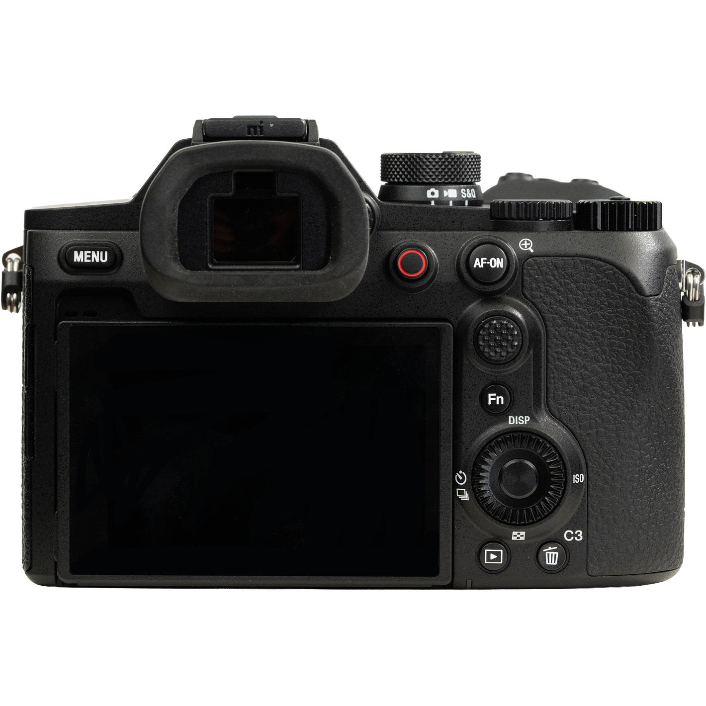 Sony RX10 V with 24 to 600mm zoom and 20MP sensor