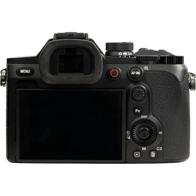 Sony RX10 V with 24 to 600mm zoom and 20MP sensor