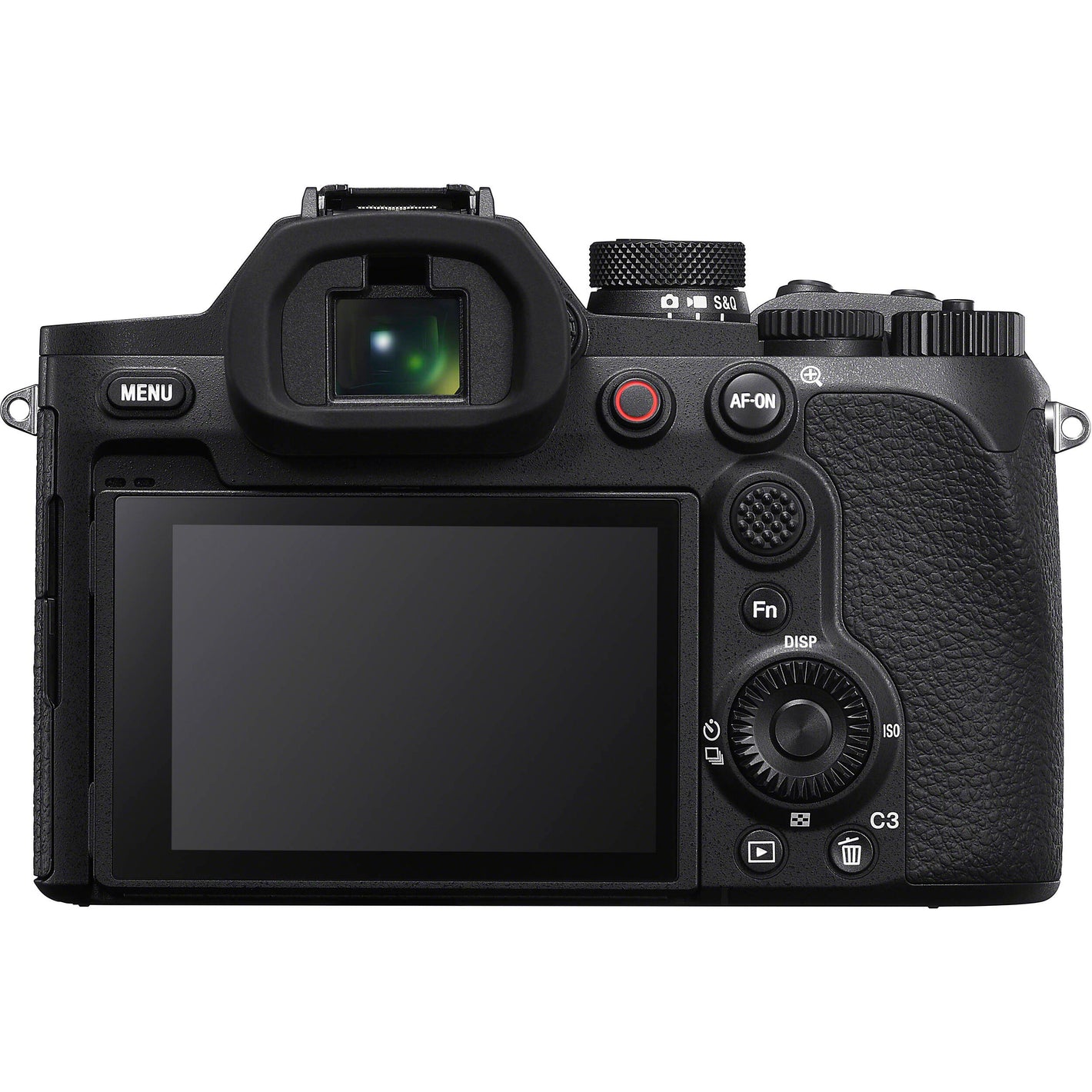 Sony RX10 V with 24 to 600mm zoom and 20.1 MP sensor
