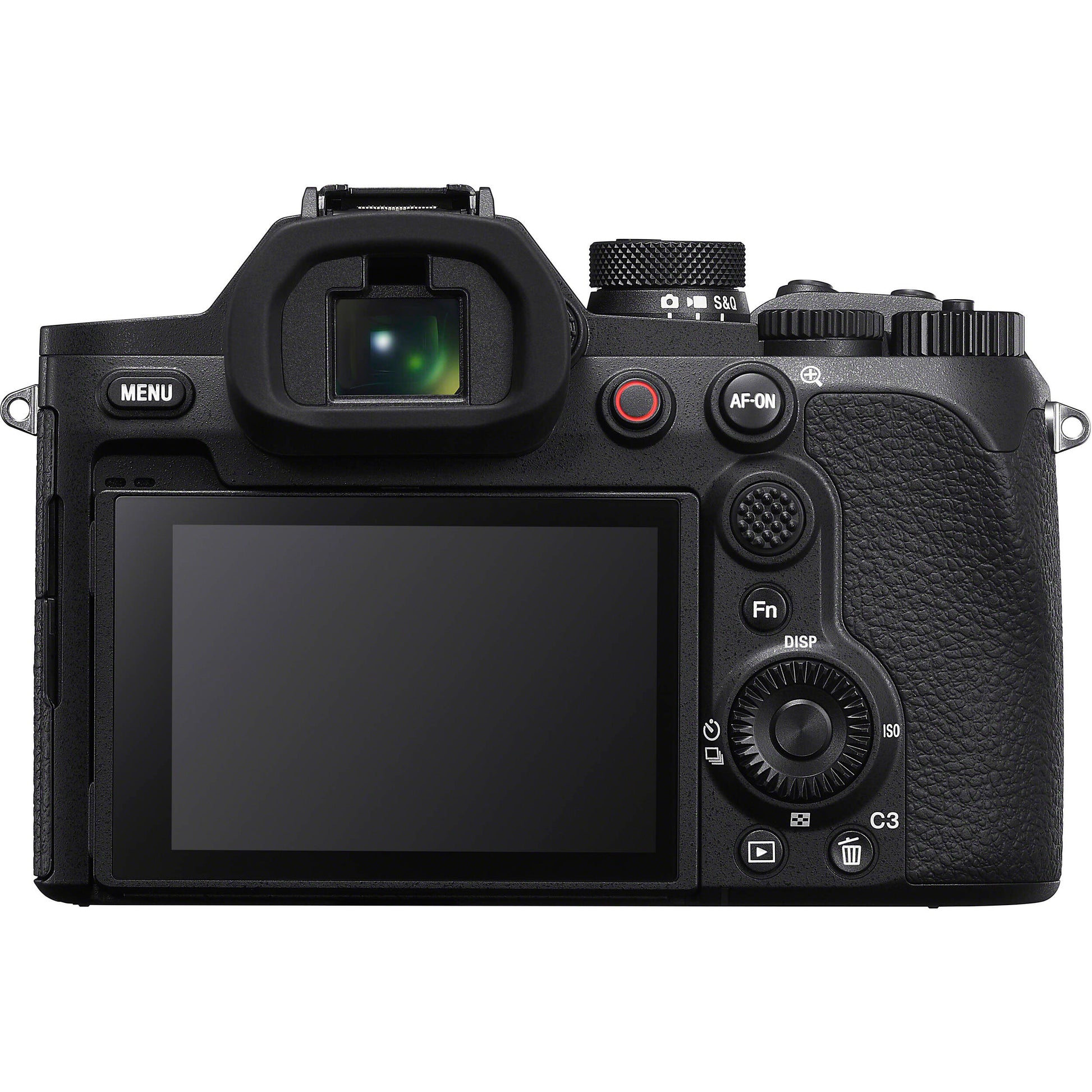 Sony RX10 V with 24 to 600mm zoom and 20.1 MP sensor