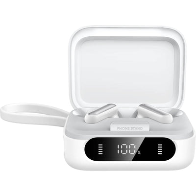 Soundcore P41i True Wireless Earbuds with charging case
