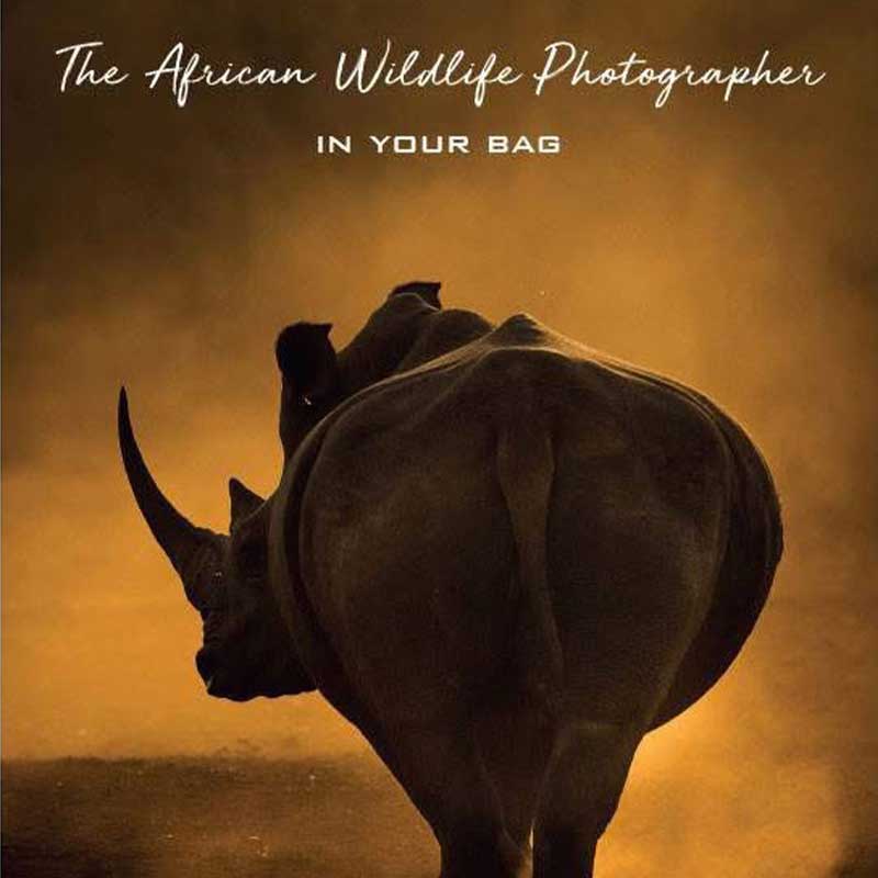 The African Wildlife Photographer in Your Bag by Andrew Aveley