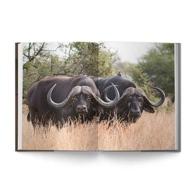 The Big Seven: Adventures in Search of Africa‘s Iconic Species by Gerald Hinde & Will Taylor