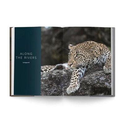 The Big Seven: Adventures in Search of Africa‘s Iconic Species by Gerald Hinde & Will Taylor