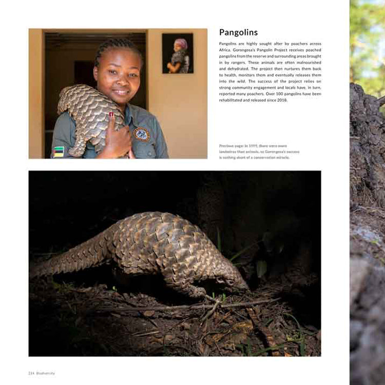 The Rift Scar of Africa book