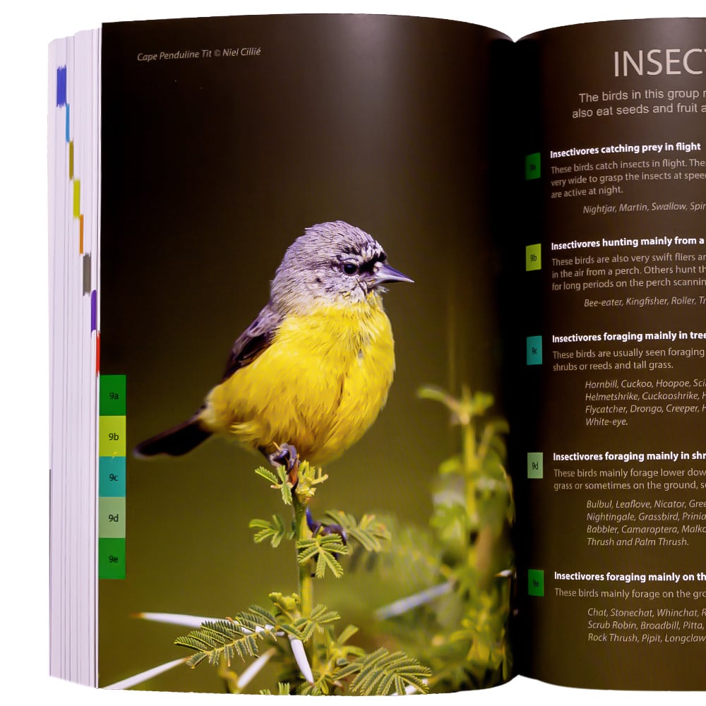 その他 National Bird [Blu-ray] 500 Bird Calls in Southern Africa - Struik Nature