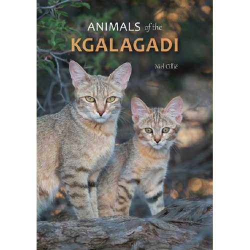 Animals of the Kgalagadi