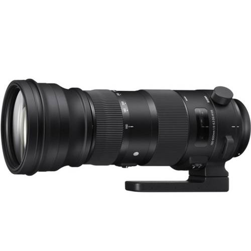 Sigma 150-600mm f/5-6.3 DG OS HSM Sport Lens for Nikon