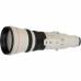 Canon EF 800mm f/5.6 L IS USM Lens Plus a FREE Canon Extender 1.4x Mk III Canon EF 800mm f/5.6 L IS USM Lens Plus a FREE Canon Extender 1.4x Mk III