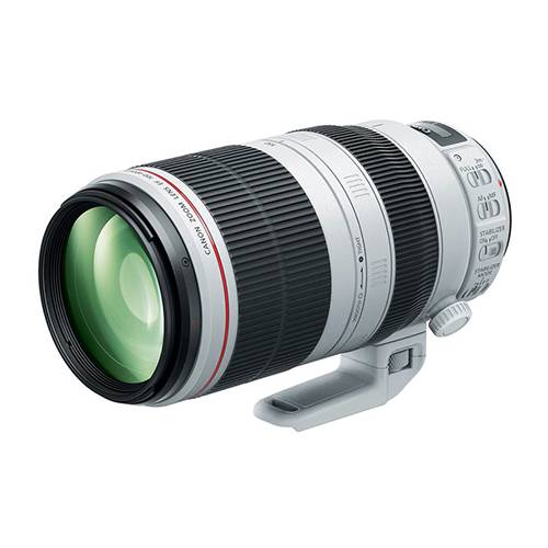 Canon EF 100-400mm f/4.5-5.6 L IS USM Mark II Zoom Lens Canon EF 100-400mm f/4.5-5.6 L IS USM Mark II Zoom Lens