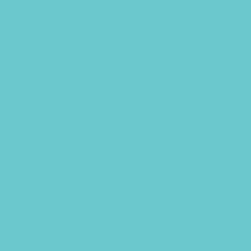 Colorama 2.72x11m Paper Backdrop (Larkspur)