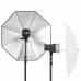 Elinchrom D-Lite RX 2/2 Umbrella To-Go Kit Elinchrom D-Lite RX 2/2 Umbrella To-Go Kit