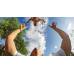 GoPro REMO (Waterproof Voice Activated Remote) GoPro REMO (Waterproof Voice Activated Remote)