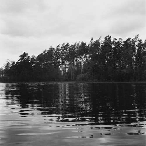 Ilford Delta 100 Professional 120 Format Black And White Film