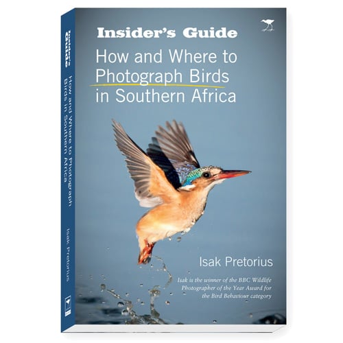 How and Where to Photograph Birds in Southern Africa