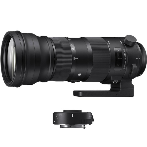 Sigma 150-600mm f/5-6.3 DG OS HSM - Sport Series Lens for Nikon with TC-1401 Teleconverter
