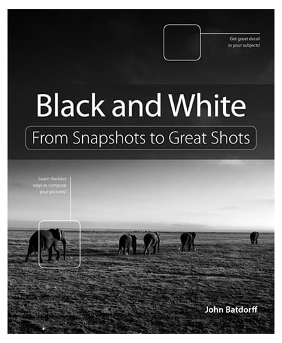From Snapshots to Great Shots - Black and White